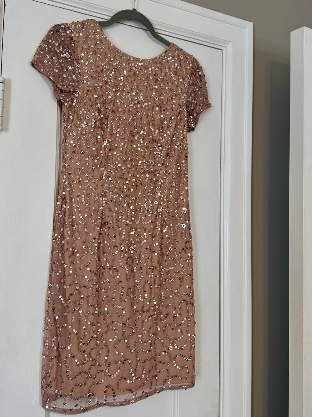 Adrianna Papell Sequin-Embellished Short Sleeve Dress in Rose